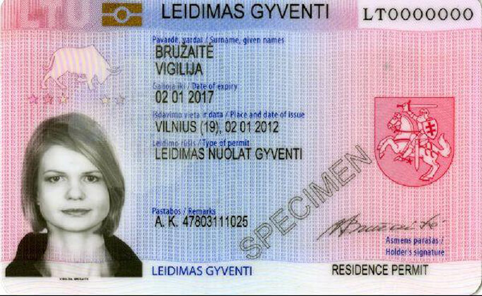 Гражданство Литвы: как получить гражданину РФ, натурализация