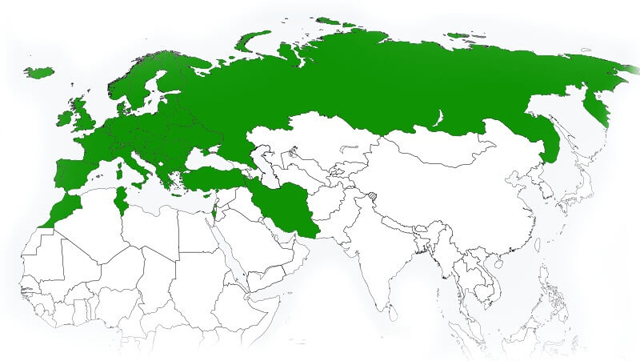 Зеленая карта в эстонии