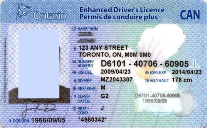 Бланк водительского удостоверения