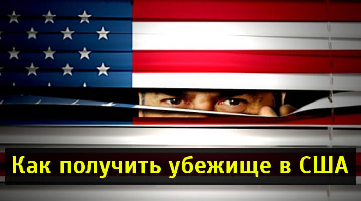 История на политическое убежище в сша. Как получить политическое убежище в сша. Виды политического убежища в сша. Предоставление политического убежища примеры. Образцы кейса для полит убежища в сша.
